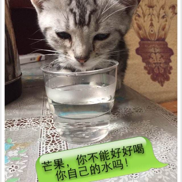 不动产权证不满两年过户费用是多少